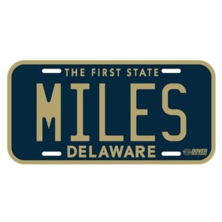 DMS License Plate