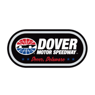 DMS LOGO PIN