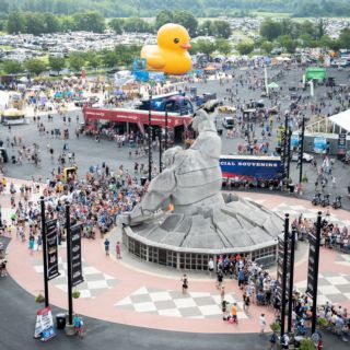 Gallery: Fan Zone Gallery